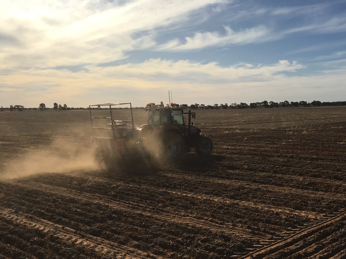 Kate Maddern tweet media