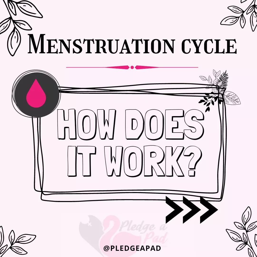 #tuesdaythoughts 
Check out our full post on Instagram to learn more about the #menstruationcycle 👀💕
.
.
 #pledgeapad #menstruationmatters #menstruationeducation