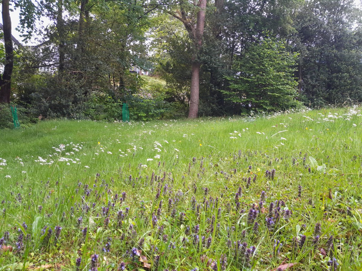 Boulder Adventures tweet media