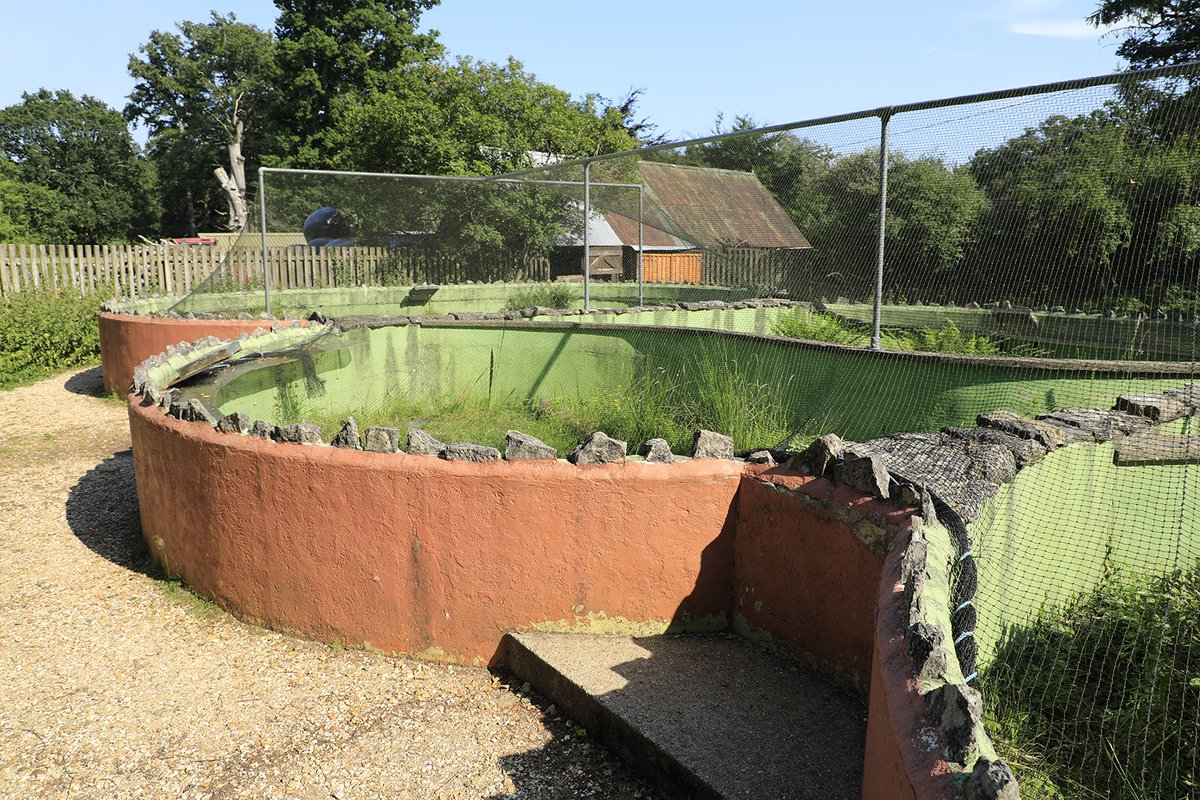 At The New Forest Reptile Centre we help protect rare snakes and lizards. Our outdoor pods provide a natural home to a variety of species including the sand lizard, smooth snake and adder. 🦎🐍💚

Plan your visit: forestryengland.uk/new-forest-rep…

#NewForestReptileCentre #NewForest