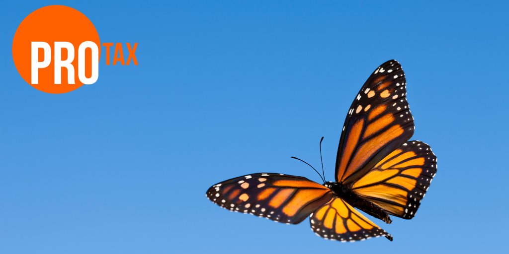 ProRecGroup's tweet photo. Pro-Tax is the largest tax recruitment team in the UK, in addition to this our team of consultants have all spent years dedicating their careers to understanding the tax market and getting to know the people to create an extensive network.

https://t.co/MYW4akFGhB 

#ProTax https://t.co/qMilpF78lz