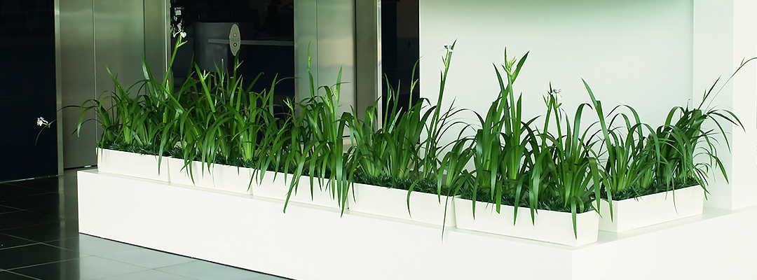 Did you know that having plants in a business is a great first impression as it makes the client/customer feel refreshed, relaxed, and welcome #plantlover #plants #business #amazing