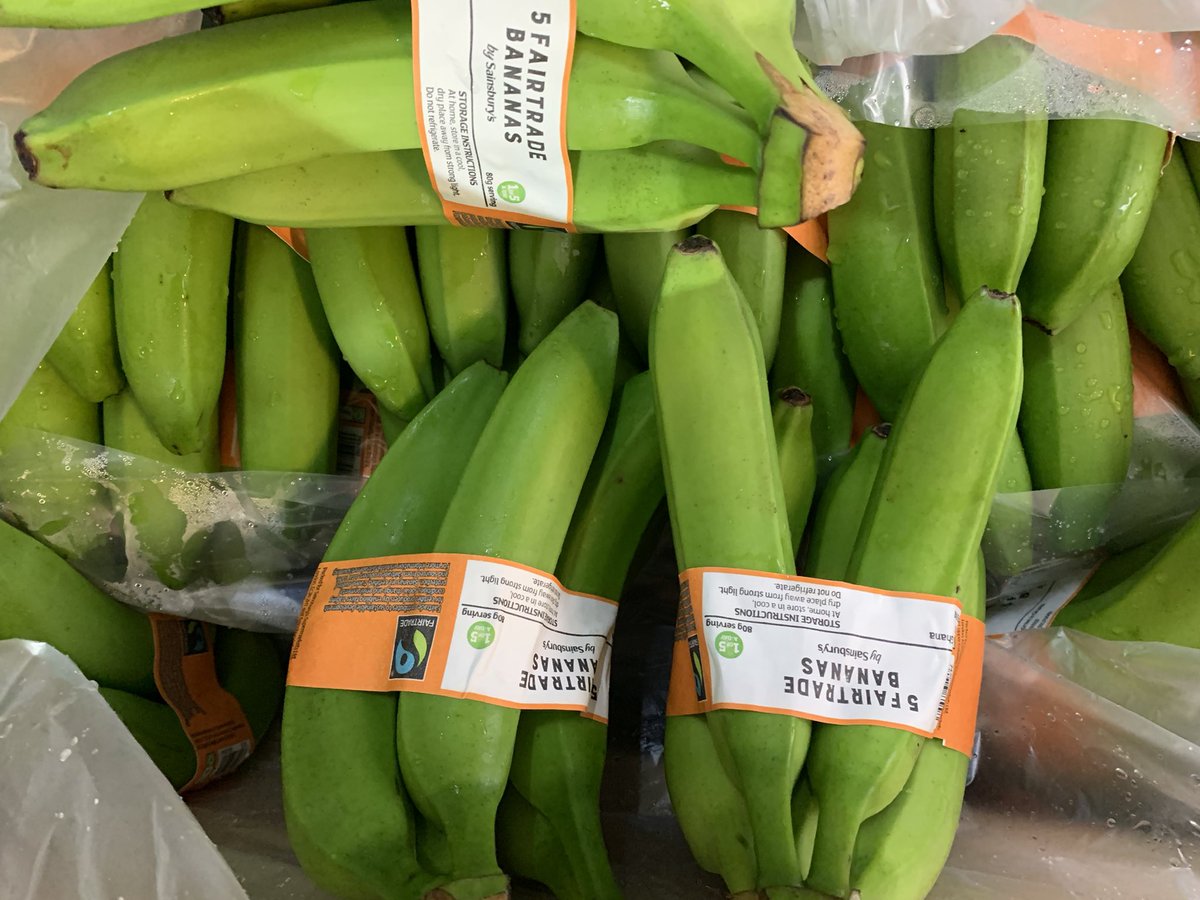 These #fairtrade bananas from 🇬🇭 are heading to 🇬🇧 supermarket shelves. Today I’m learning about that journey with Golden Exotics, 🇬🇭’s biggest fruit exporter, supplying <a href="/sainsburys/">Sainsbury's</a> <a href="/marksandspencer/">M&S</a> <a href="/LidlGB/">@LidlGB</a> and others

#Partnership

<a href="/UKGCC_ACCRA/">UK Ghana Chamber of Commerce</a>