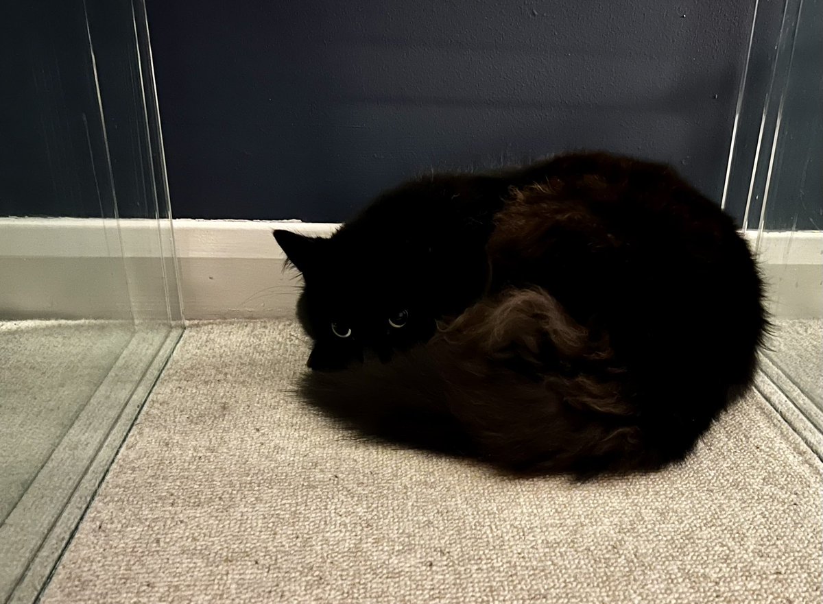 Dr Jamie Gallagher tweet media