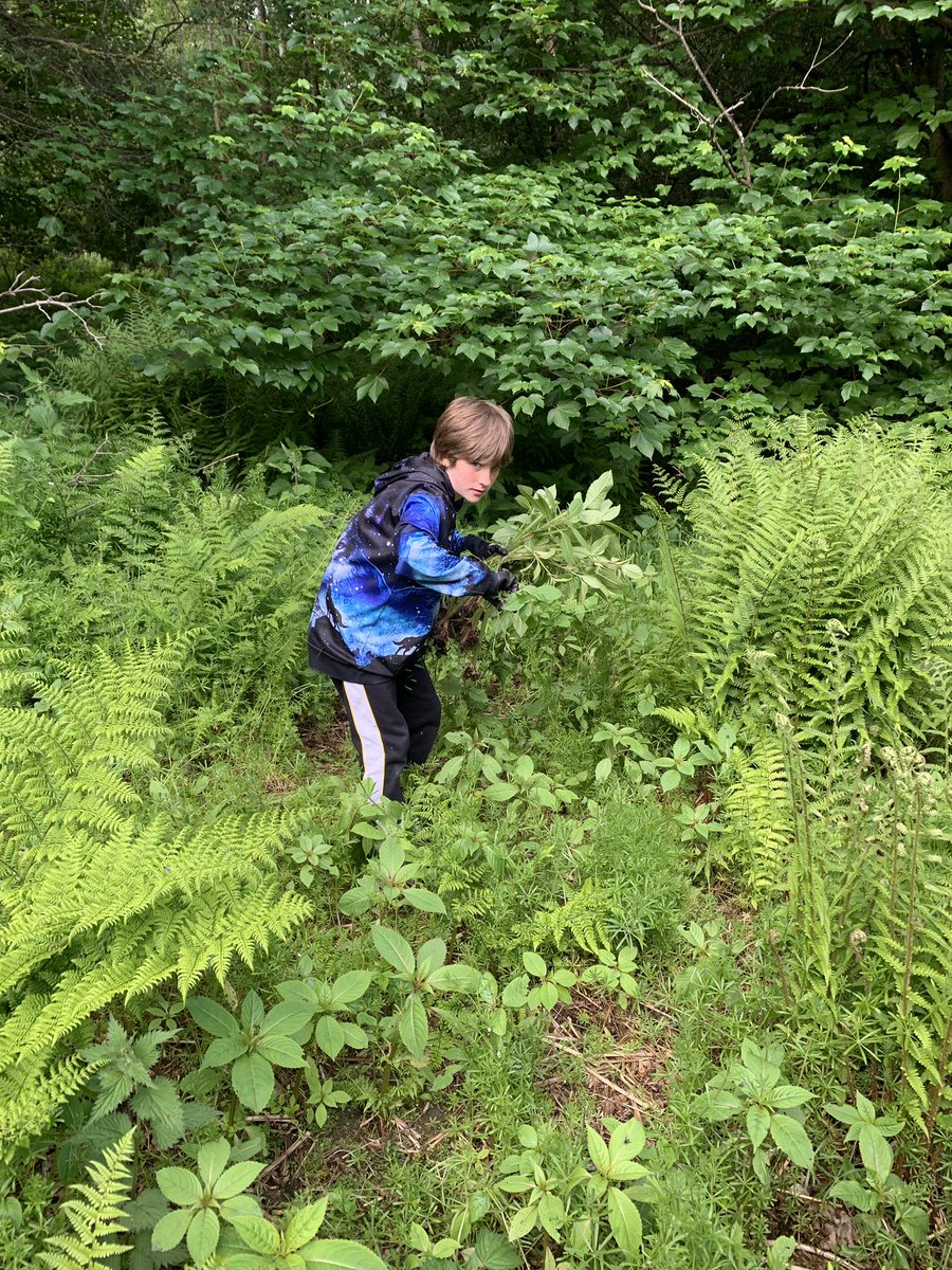 Earth Calling tweet media