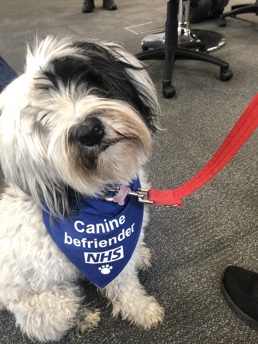 When you come to work and Miley is here ❤️