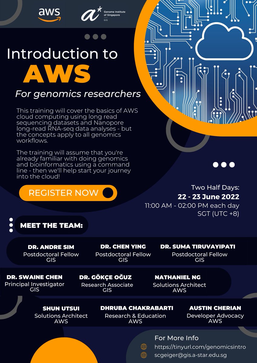 Gokce (@gokce_bin) on Twitter photo 