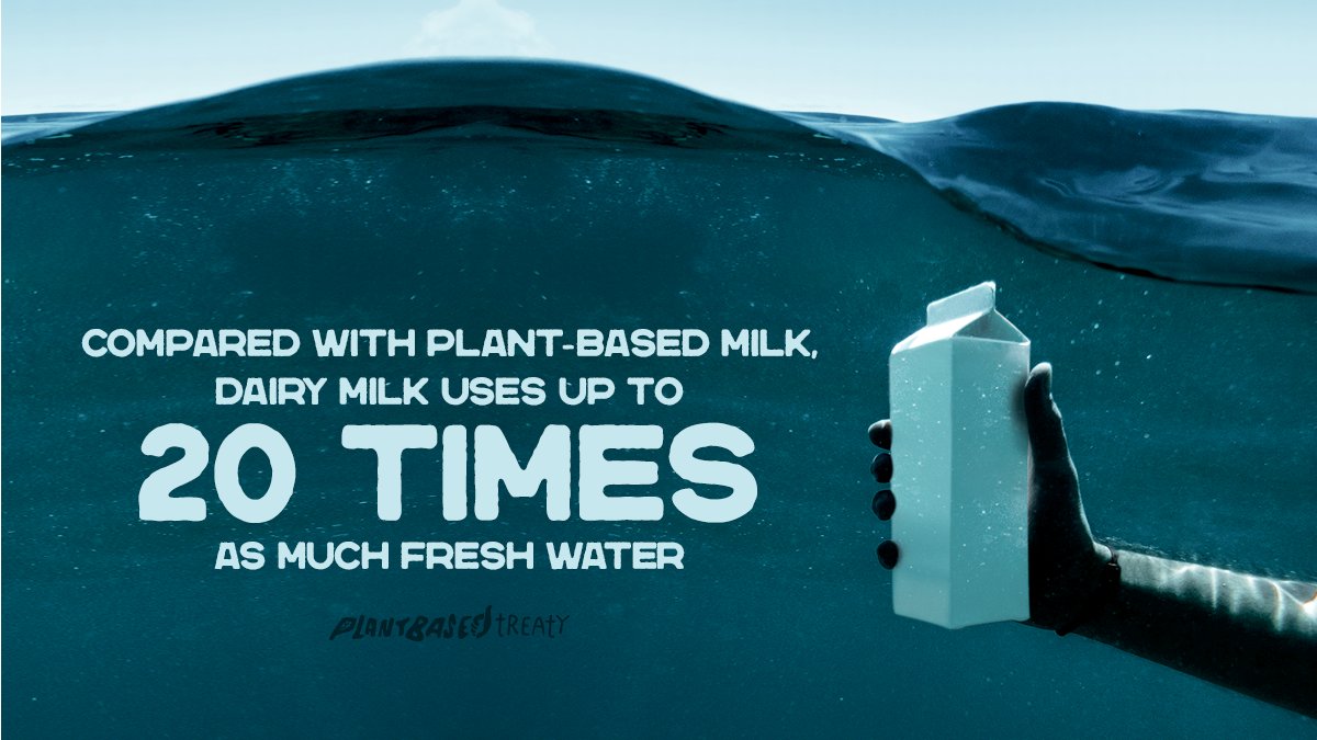 Dairy farming causes water pollution as cow manure &amp; fertilizer often leak into waterways causing harmful algal blooms which kill marine wildlife &amp; threaten freshwater supplies.
#EnjoyDairy Destruction #WorldMilkDay