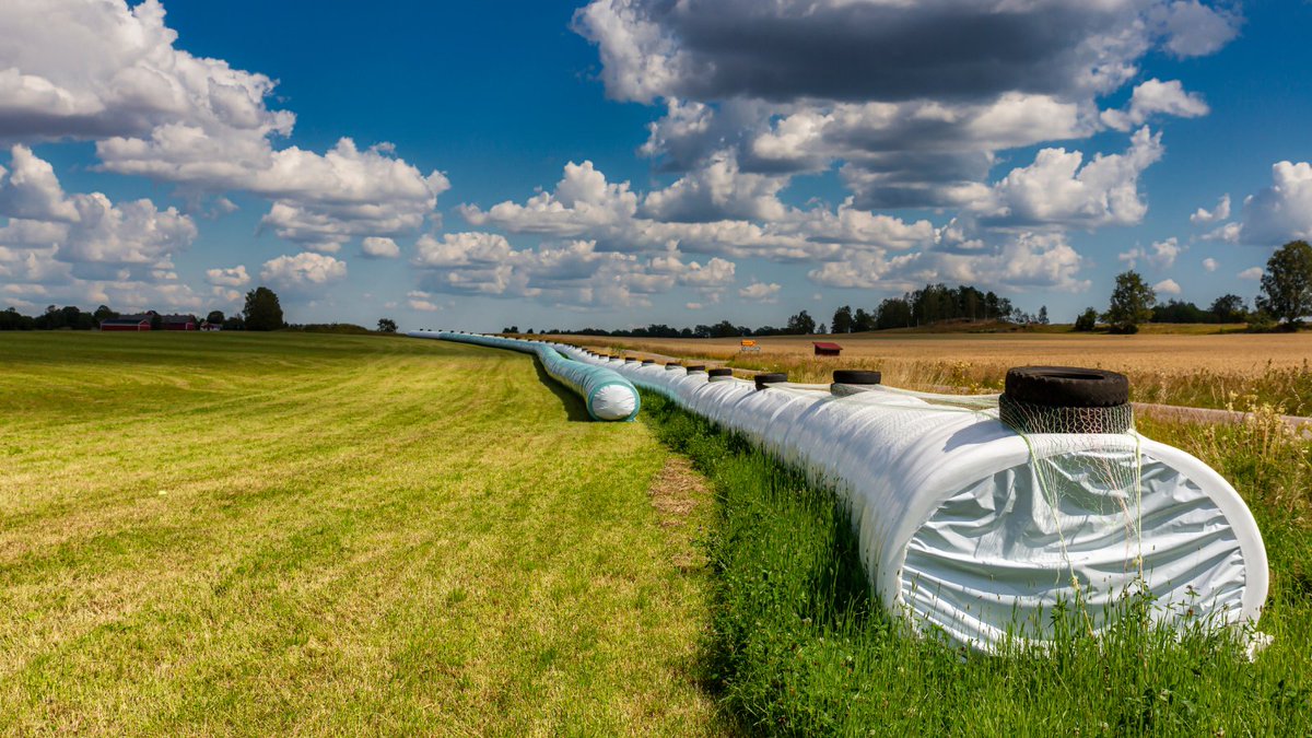 A WI farm with multi-year crop rotation has a dynamic response in cost of practice change &amp; nutrient use efficiency. As the cost decreased, the nitrogen use efficiency &amp; nitrogen balance increased over time. This is happening for 2 reasons. 

Learn why!
ow.ly/fXnn50JlMfX