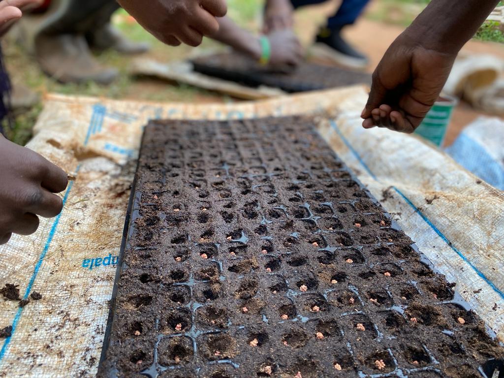 AfrikovationHub's tweet photo. We’re skilling young innovative climate-smart Agripreneurs!
Day 2/Agripreneurship Bootcamp/Kunya community: Learning practical skills to plant seeds in seedling trays; make organic fertilizers, design &amp; make creative planters.     
Get started today! Earn income &amp; create jobs! https://t.co/JmEyZ7xEpV