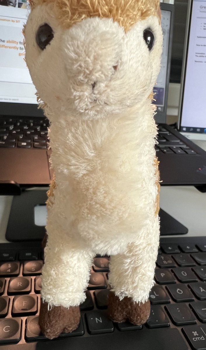 Bianca Bauer tweet media