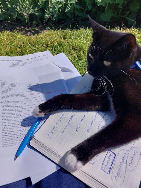 Creative moment #slu #bt #future #planning