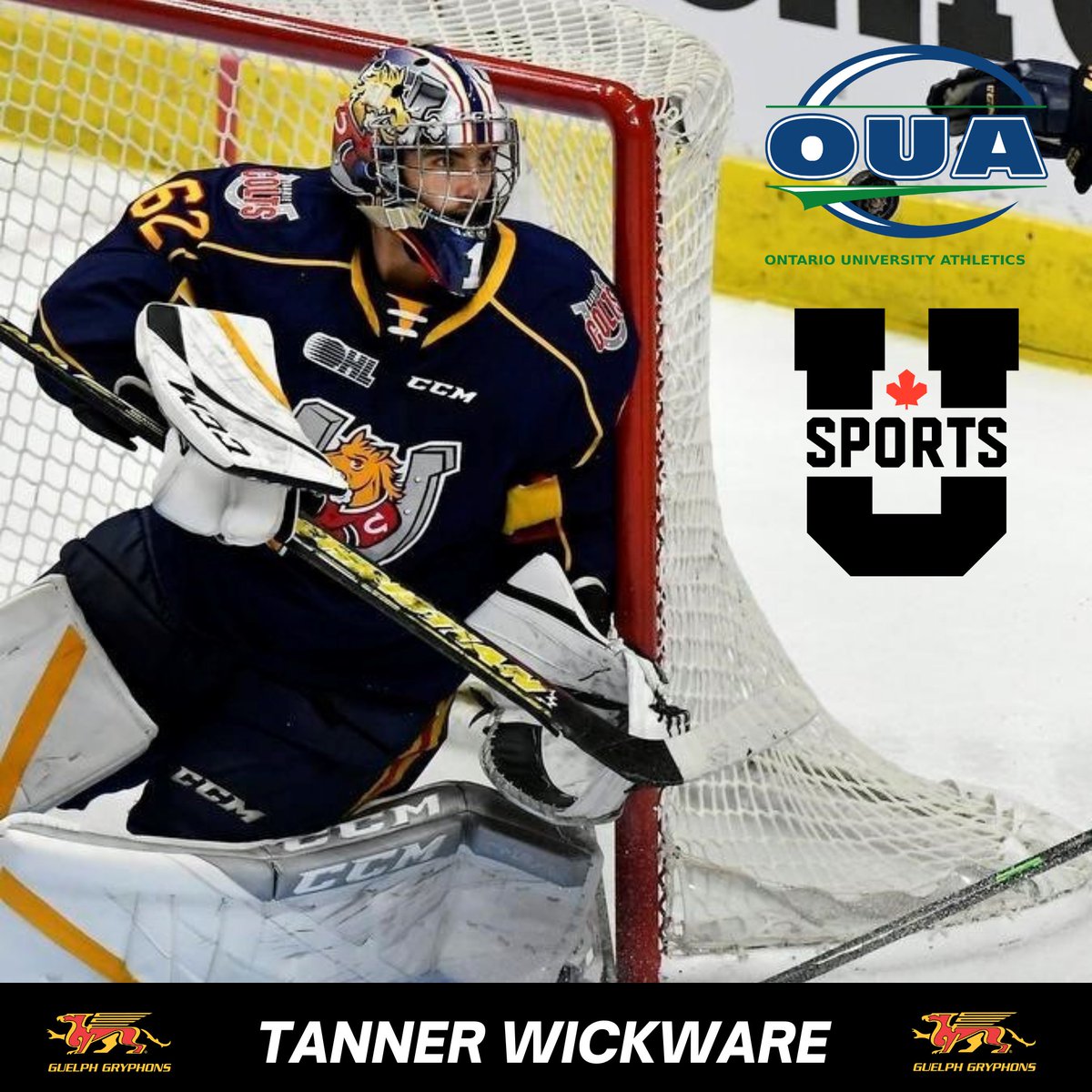 gryphonsmhky's tweet photo. 2022-2023 RECRUIT ANNOUNCEMENT: We are very excited to welcome @GOJHL Champion from the @redhawks_jrb and former @OHLBarrieColts and 
@Storm_City Goaltender, Tanner Wickware to our Gryphon Hockey Family! #Culturebeatsstrategy https://t.co/5V11CgLtPI