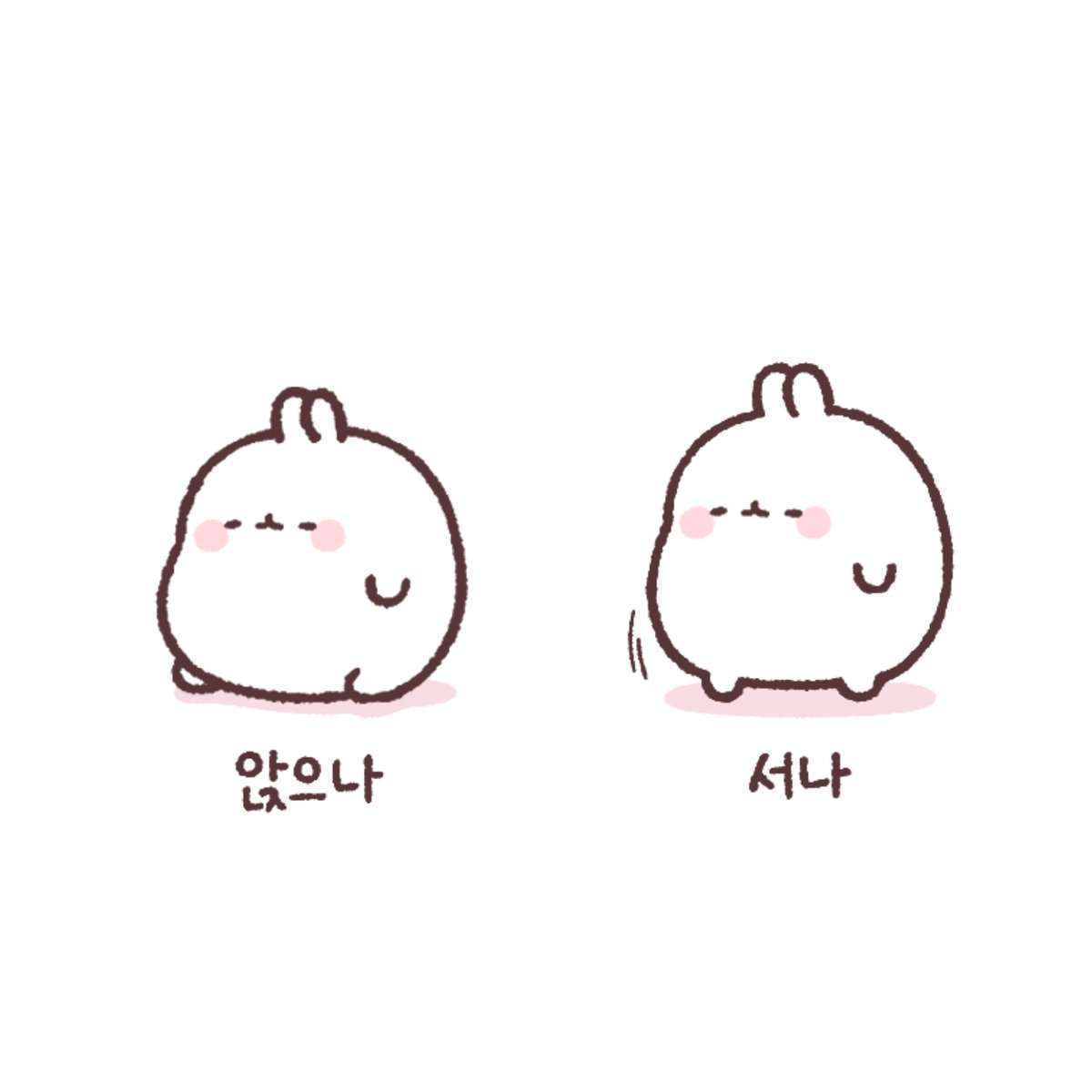 molang2010's tweet photo. 미묘하게 달라요 https://t.co/Sen2VPswV8