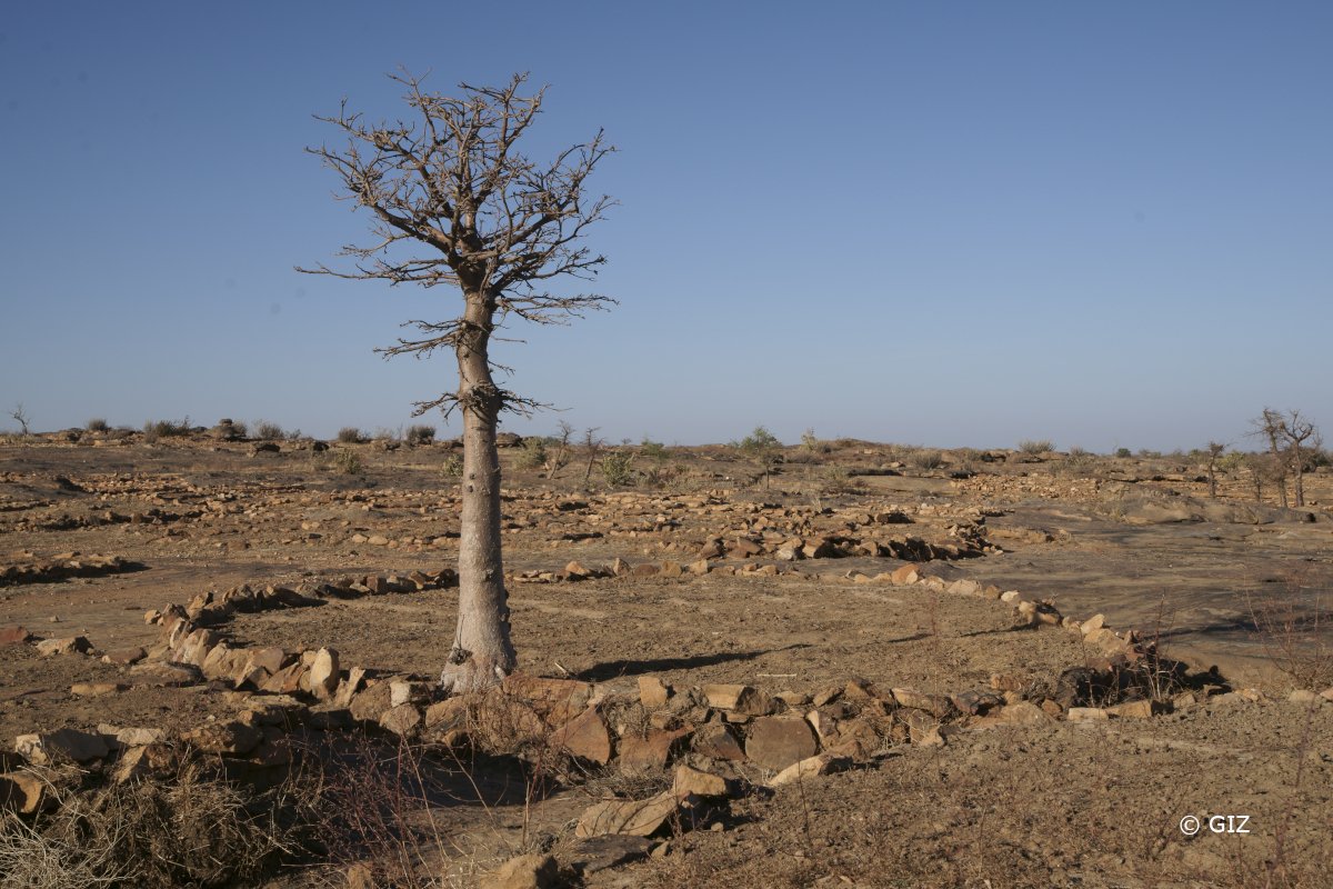 Adapt_Community's tweet photo. #ClimateRisks in 🇪🇹: By 2080 temperatures will rise by 3.6°C thus threatening livelihoods. #ProSoil, @HFFA_Research & @PIK_Climate assessed climatic impact drivers in partner countries to develop #adaptation strategies for agriculture. @BMZ_Bund @giz_gmbh https://t.co/f9KYKtpWXq https://t.co/UOXpTru9bH