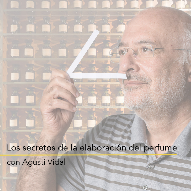 AcademiaPerfume tweet picture