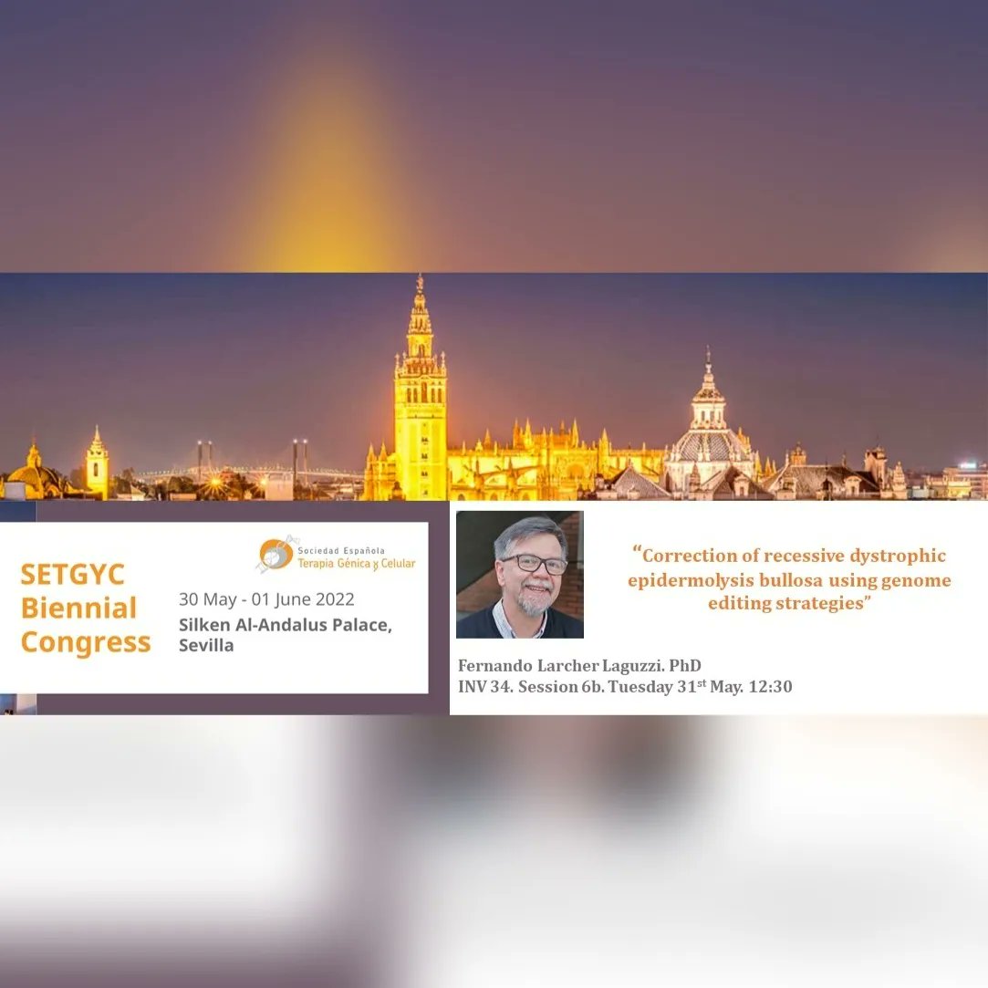 BioInn_CIEMAT's tweet image. After the poster session, we can enjoy two fantastic sessions about Cell and Gene Therapy of Blood disorders and about Cell and Gene Therapy of skins, skeletal &amp;amp; cardiac muscles! Don&apos;t miss these great talks! #genetherapy #DBA #PKD #epidermolysisbullosa #nethertonyndrome