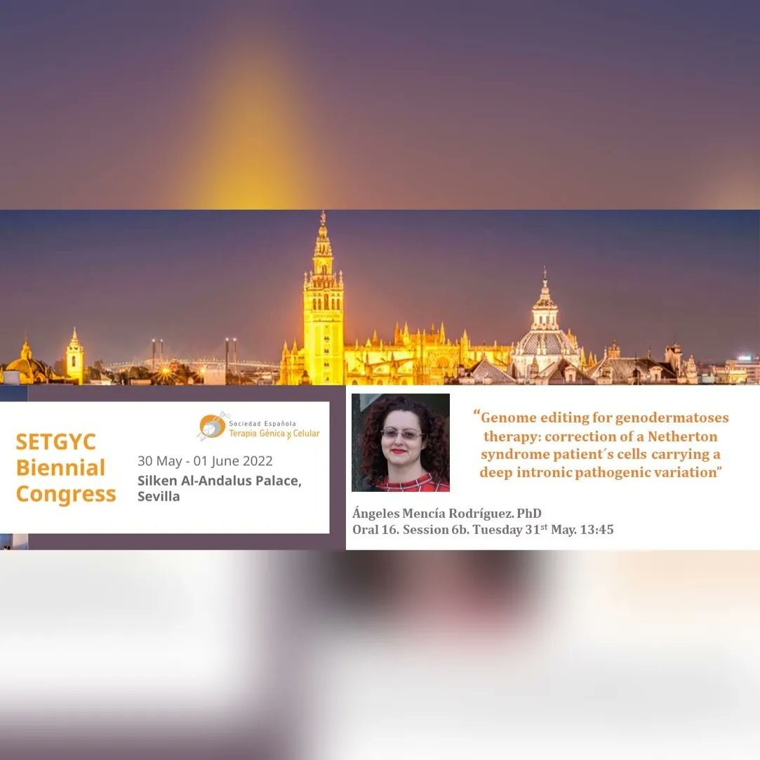 BioInn_CIEMAT's tweet image. After the poster session, we can enjoy two fantastic sessions about Cell and Gene Therapy of Blood disorders and about Cell and Gene Therapy of skins, skeletal &amp;amp; cardiac muscles! Don&apos;t miss these great talks! #genetherapy #DBA #PKD #epidermolysisbullosa #nethertonyndrome