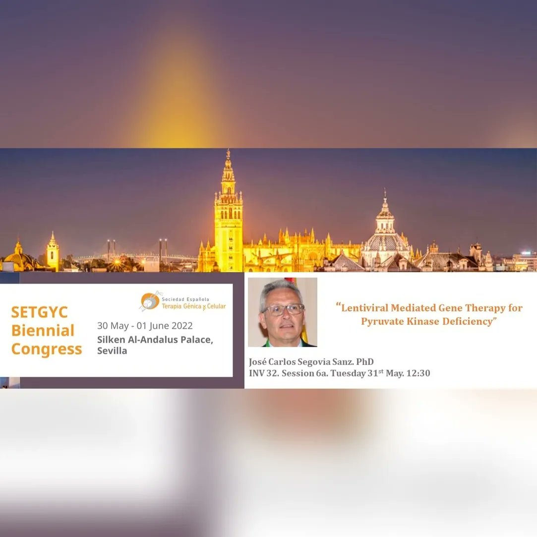 BioInn_CIEMAT's tweet image. After the poster session, we can enjoy two fantastic sessions about Cell and Gene Therapy of Blood disorders and about Cell and Gene Therapy of skins, skeletal &amp;amp; cardiac muscles! Don&apos;t miss these great talks! #genetherapy #DBA #PKD #epidermolysisbullosa #nethertonyndrome