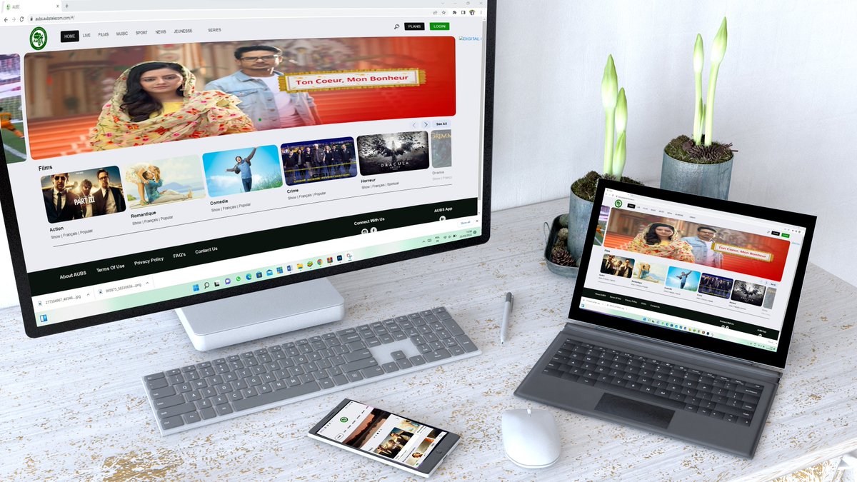 Africa Union Broadband Services AUBS tweet media