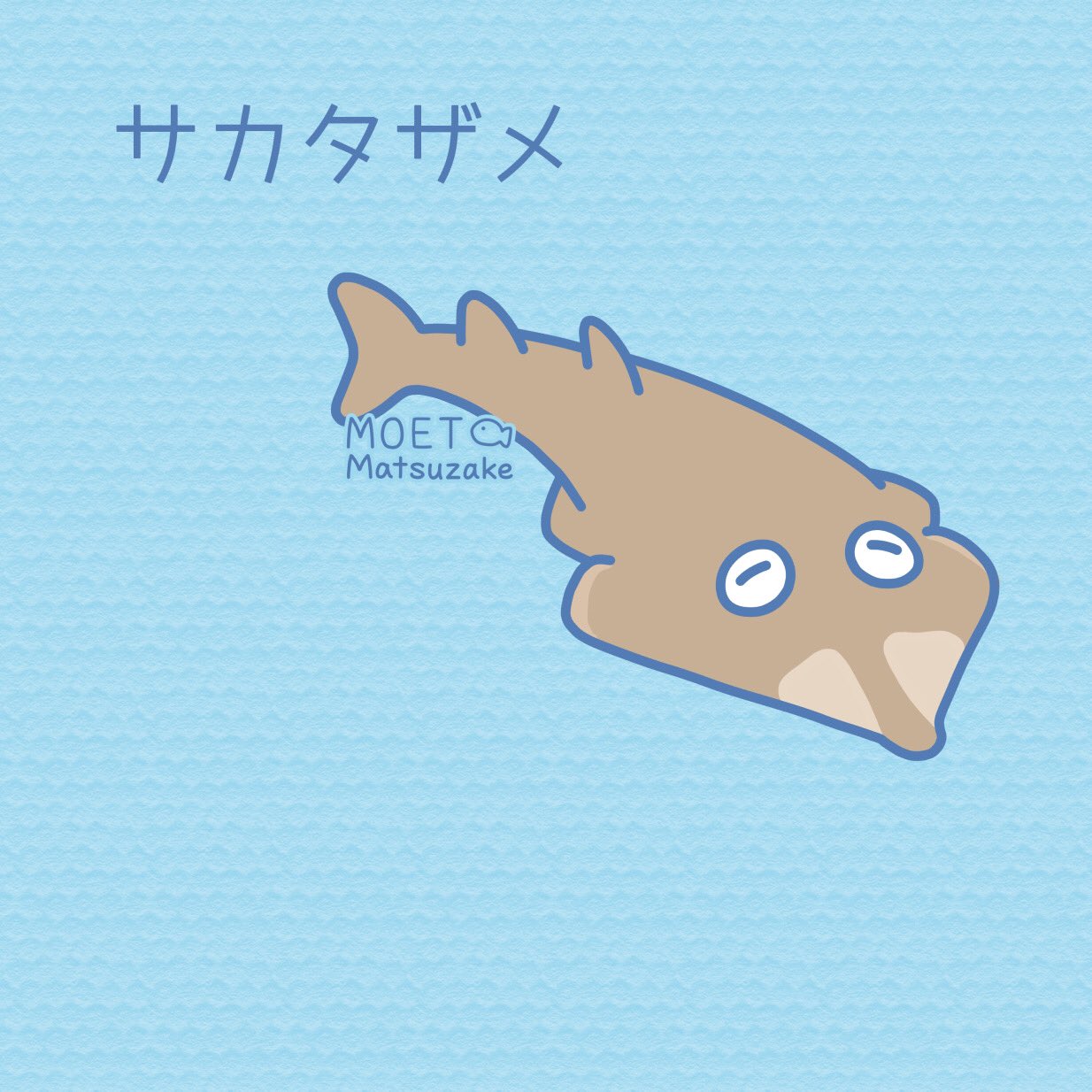 Uzivatel 松鮭モエ 描く作る Na Twitteru サカタザメ のっぺりしていてかわいい 実はサメでなくエイの仲間なんだって イラスト Art 魚 T Co Yatdgwhurf Twitter