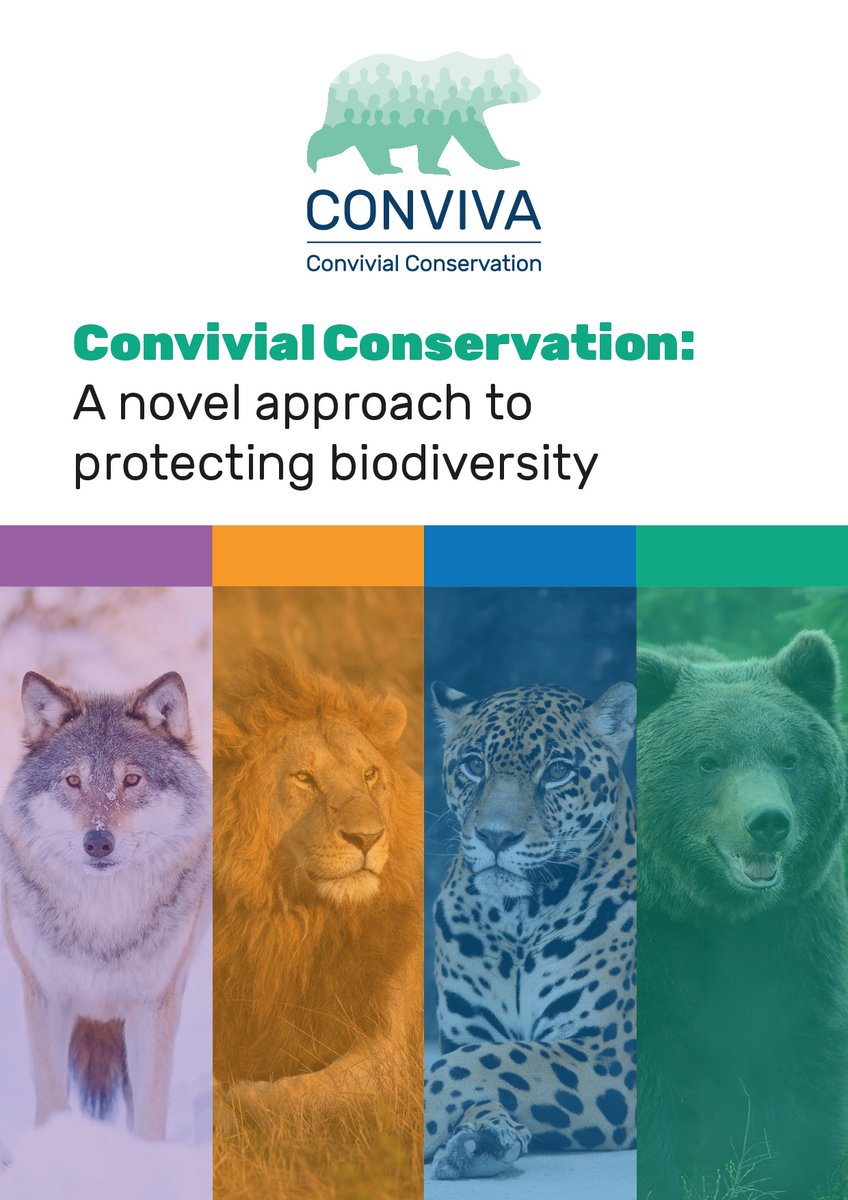 #CONVIVA #policybriefs week! Today we can share our first policy brief of four: it introduces #ConvivialConservation, a novel approach to protecting biodiversity built on #coexistence, (cultural and bio)diversity and #justice. (1/)
conviva-research.com/wp-content/upl…