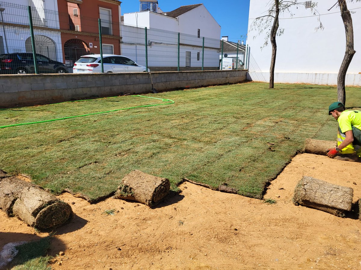 ElVisoDelAlcor_'s tweet image. 🌱Ha comenzado la instalación del césped natural junto a la piscina infantil. Una actuación que transformará al completo una zona que estaba en total desuso y que permitirá a la ciudadanía disfrutar de nuevas zonas verdes durante el verano.