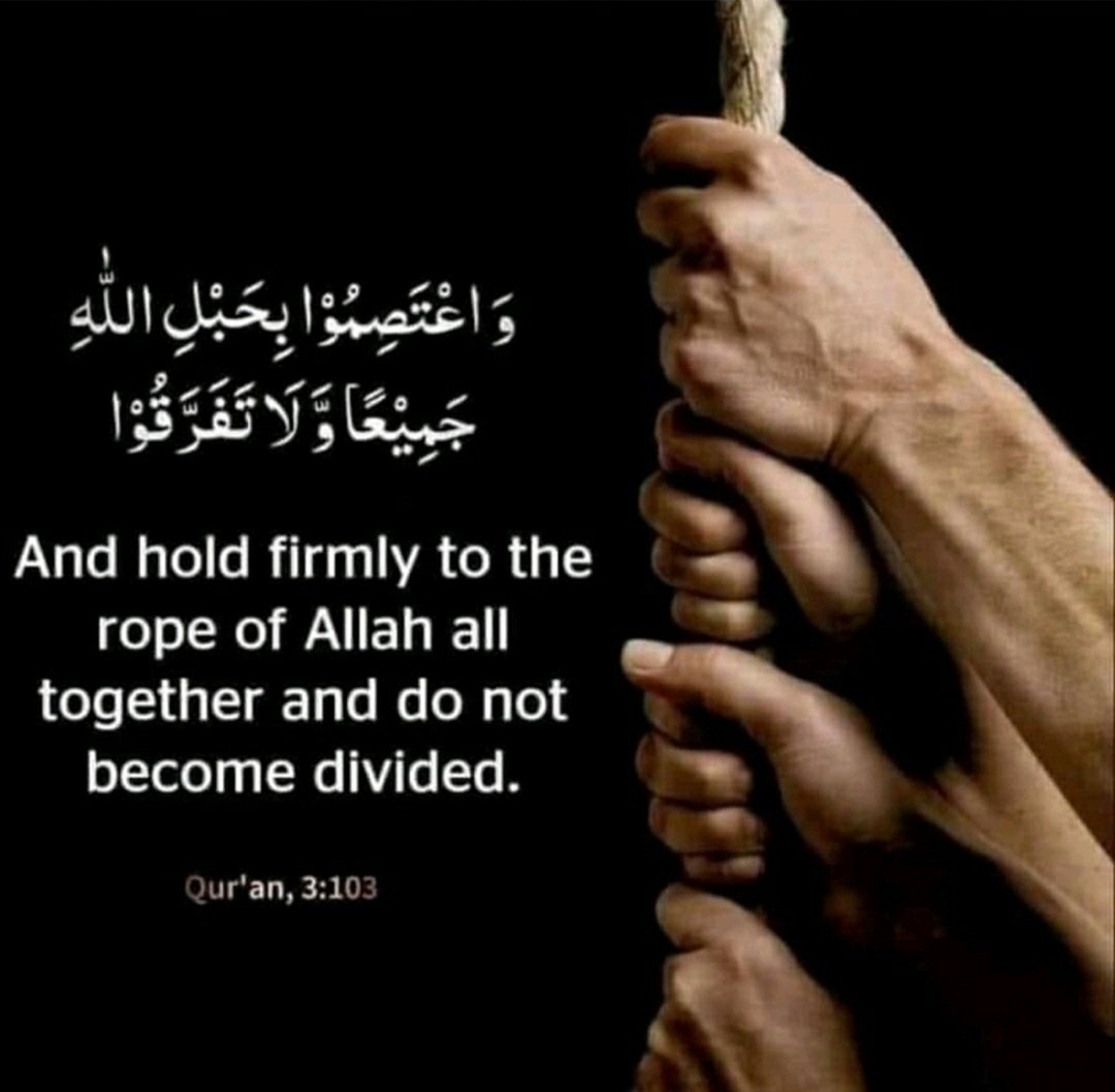 أ. علي خلف الرباح التميمي... حائل tweet media