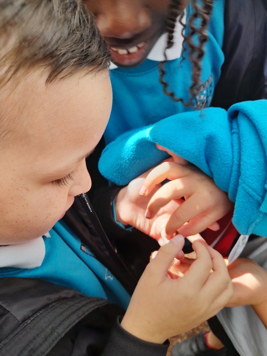 MrsCGreenhill's tweet photo. Fabulous fun pond dipping and exploring nature on a woodland walk today at Drumpellier Country Park. A great end to our Pond Life topic! https://t.co/LVQ1apDdSS