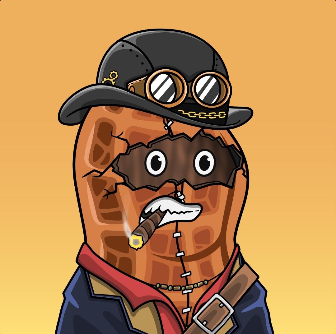 ssineCollector's tweet photo. @NoSol_ @Peanuts_NFT can be a good investment if u are looking for a different and exceptional utilities like building ur NFTS by yourself.

 they have a builder tool and many more Great things.

Here is my lovely peanut that i make it with much love 👇
                              👇 https://t.co/h3lPKOc78y