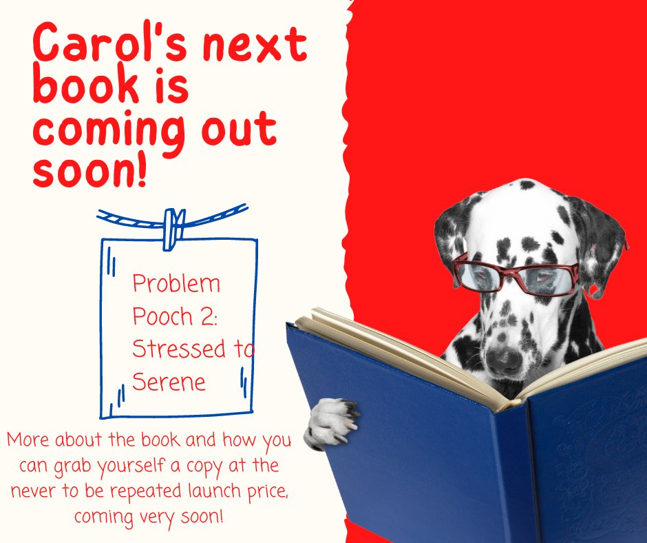 DownDogNI's tweet photo. Find out why dogs (&amp; owners) get stressed, learn about common fears, naughty dogs, noisy dogs &amp; how to deal with these common problems. I’m just about to publish my next book called PROBLEM POOCH 2: STRESSED TO SERENE.
#KnowYourDog #DogStress #DogBook #ProblemPooch #LoveMyDog https://t.co/t73s2KGvvx