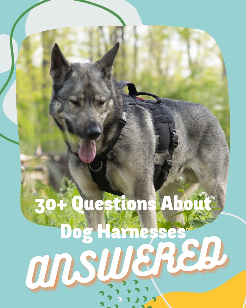 You know those questions that you need to ask about harnesses?  Well they're probably answered in here!

rebarkable.com/dog-harness-fa…