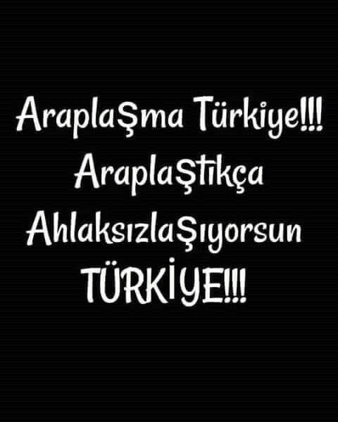 Sedat tweet media