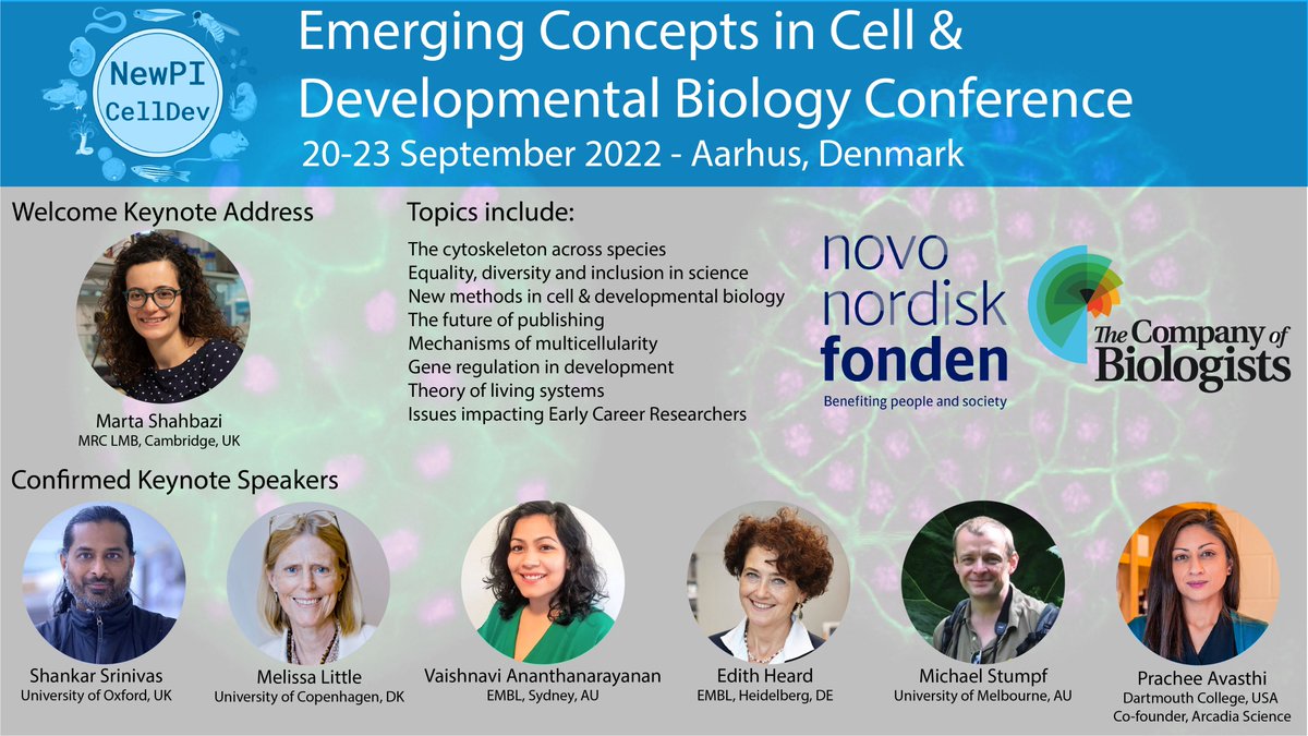 NewPICellDev tweet media