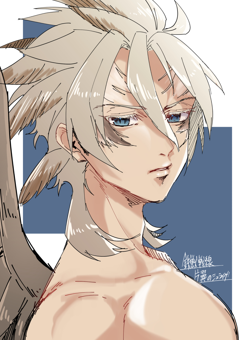 片翼のシュライグ
服はどっかいった 