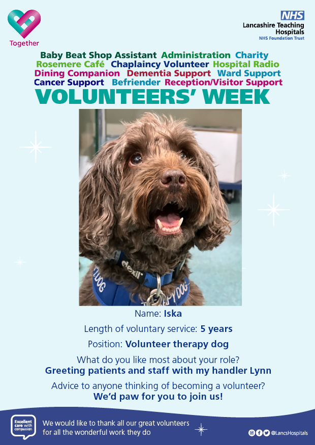 LTHTRLIFE tweet media