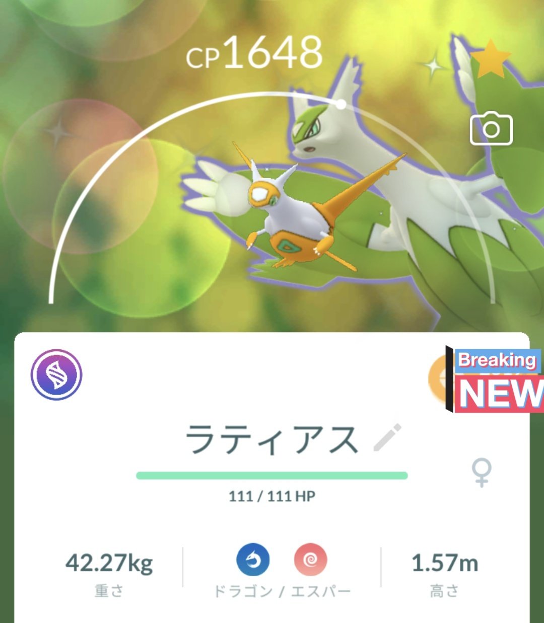 弓引奏汰 新人vtuber 今日は妹の方 ラティアス むげんポケモン 全国図鑑380 特殊受けと特性ふゆうが優秀な妹 ザシアン黒バドがいる今中々に厳しい環境ですね 兄と違いいやしのねがいを覚えます それならクレセリアでいいって言わないであげて ポケモン