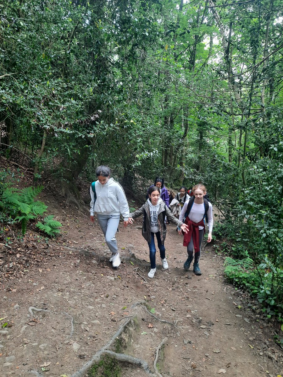 NAISDublin's tweet photo. Secondary School Expeditions continue! 🏔 Our Grade 6 students completed a 19km hike along the cliff path and up Bray Head as part of their focus on Relationships, Health and Engagement in our #PERMAH model of #wellbeing.

#createyourfuture #nordangliaeducation #globaleducation https://t.co/uLqVfknmWq