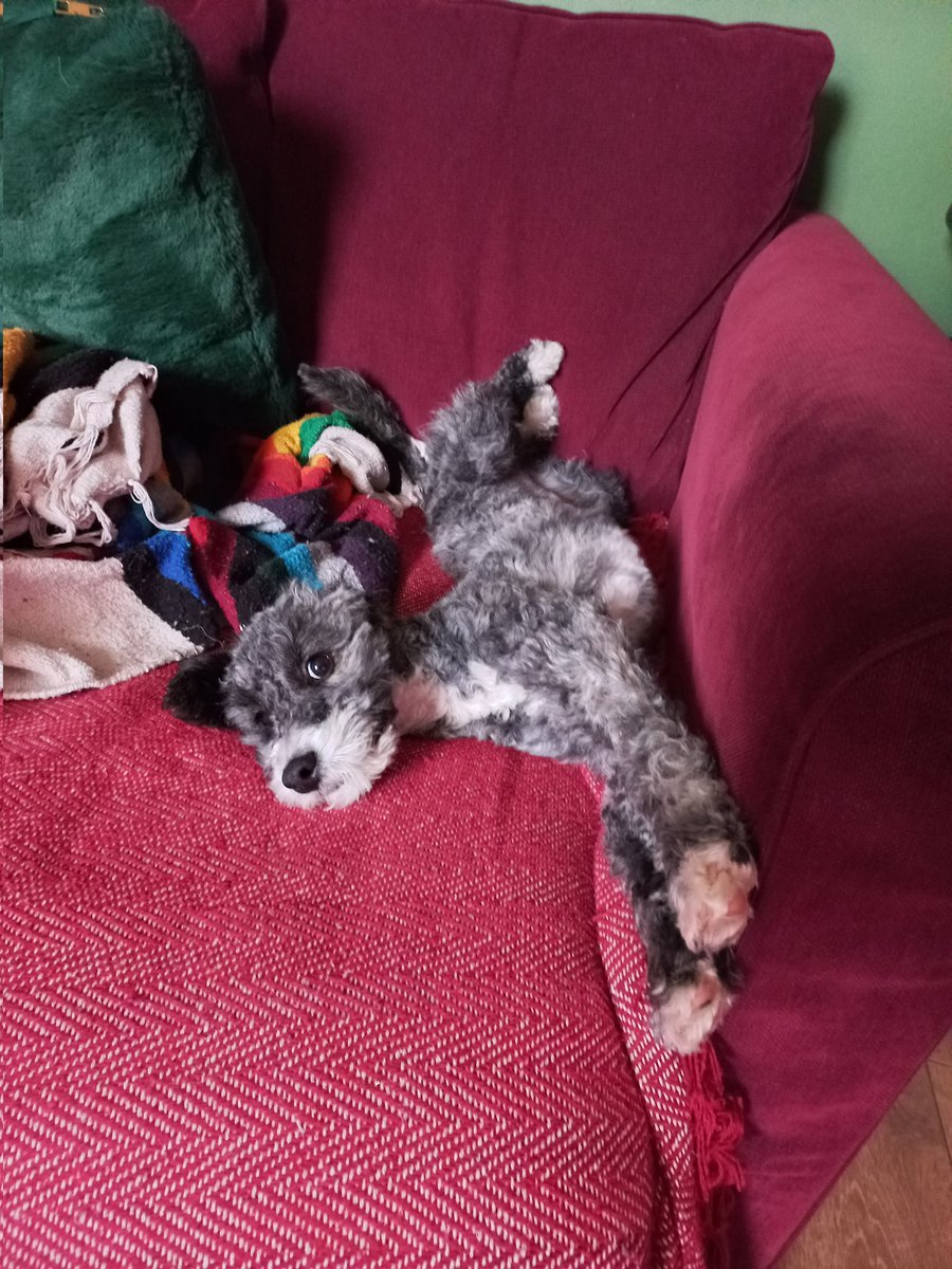 Kate Slinger 🌵 tweet media