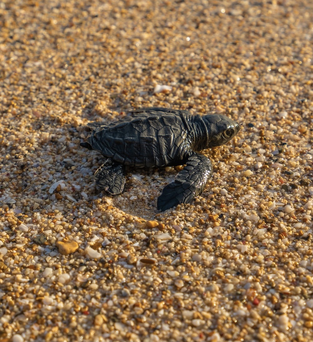 Your speed doesn’t matter.
Forward is forward. ✨

ow.ly/IFba50xfiDg