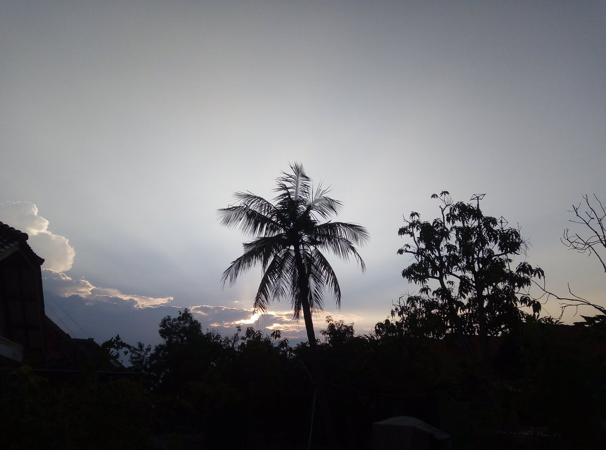 mericaasin's tweet photo. portrait of today's sky🤍 https://t.co/oLuORoOpCW