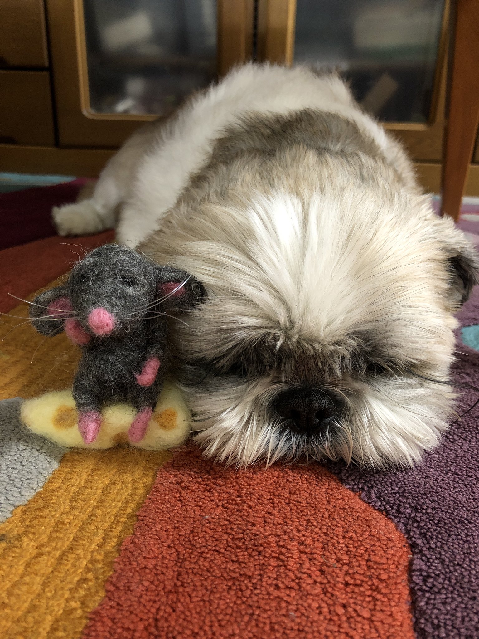 ふぅた 次は何を作ろうかなぁ と作者の代わりに考えるねずみとふて寝する犬 シーズー 犬の居る暮らし 犬好きさんと繋がりたい 羊毛フェルト ハンドメイド T Co Fgflvrij8o Twitter