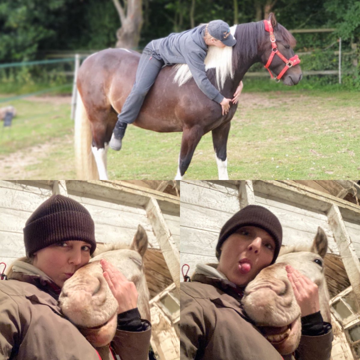 Need to spend more time with these critters this year! Less work more play 😊 🐎 🐴 #equestrian #equestrianlife #ponies #horses #horserider #horseriding #actress #naturalhorsemanship #naturalhorsemanshiptraining #libertytraining #horsetraining #horsewhisperer #horsemanship