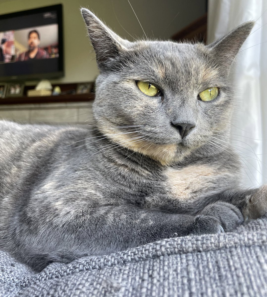 <a href="/YourMorning/">CTV Your Morning</a> sweet  Eleanor relaxing from #pei