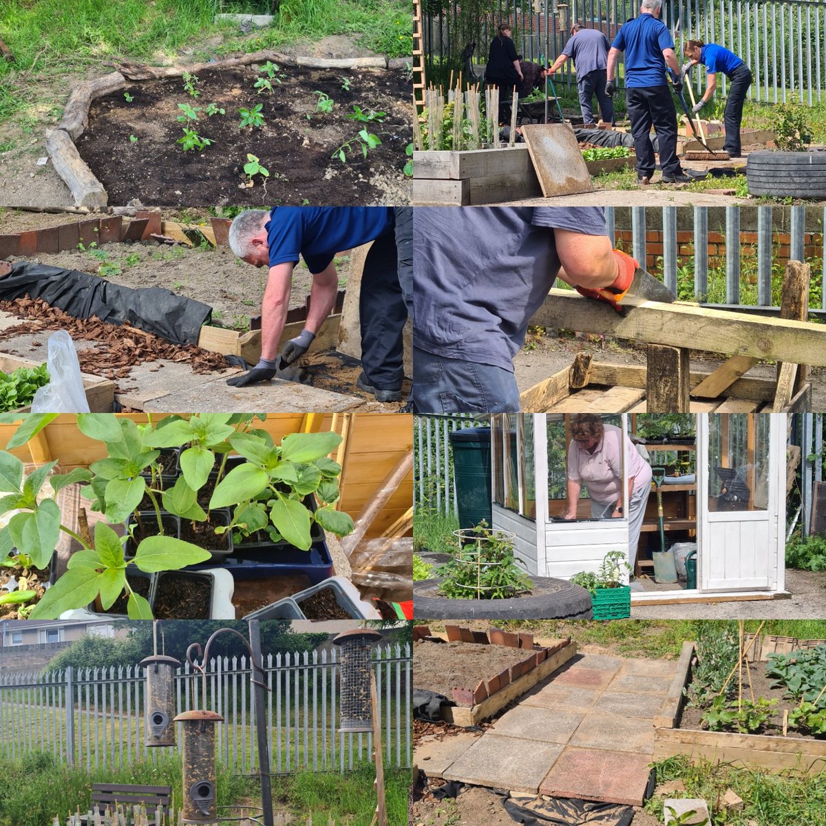 Awesome day getting so much done 🥰Our local pcsos have been working hard laying the path .. looks amazing 🥰Our local councilor steve has been fixing a table we salvaged awesome job 😀The kids have been planting sunflowers and pumpkins 🎃 #marlasgreenspace @SWPBridgend