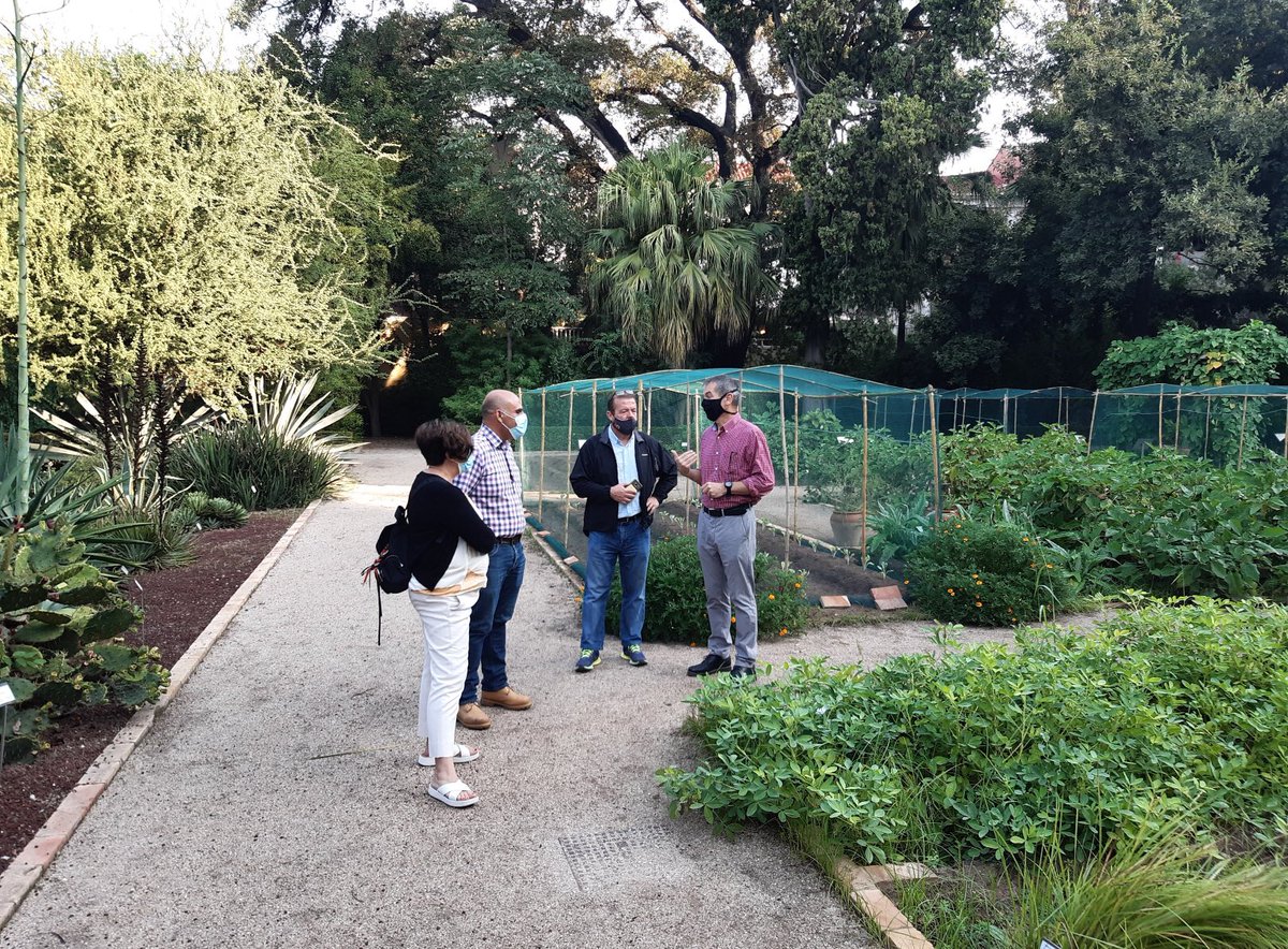 IBMCP's tweet photo. Program for today‼️
The @JardiBotanicUV to see the magnificent facilities they have for the XX #EUCARPIA Meeting of the Tomato Working Group, 31 May reception and display of a tomato history exposition and exhibition.#COMAV @UPV @IBMCP
See more info at 👉 https://t.co/BFCC0pkidB https://t.co/enNXTz3JD0