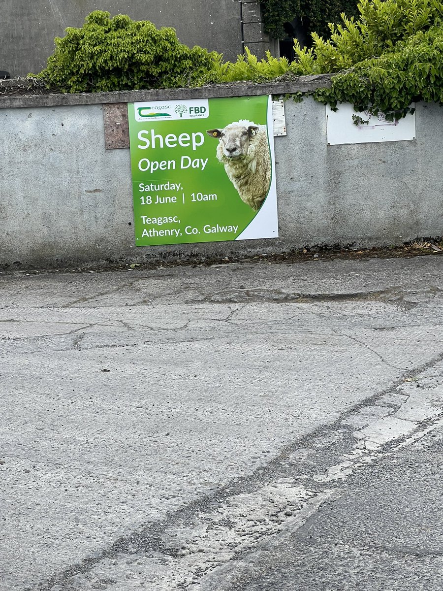 Considering a career change? Thinking about becoming a sheep? Well then why not call down to the…