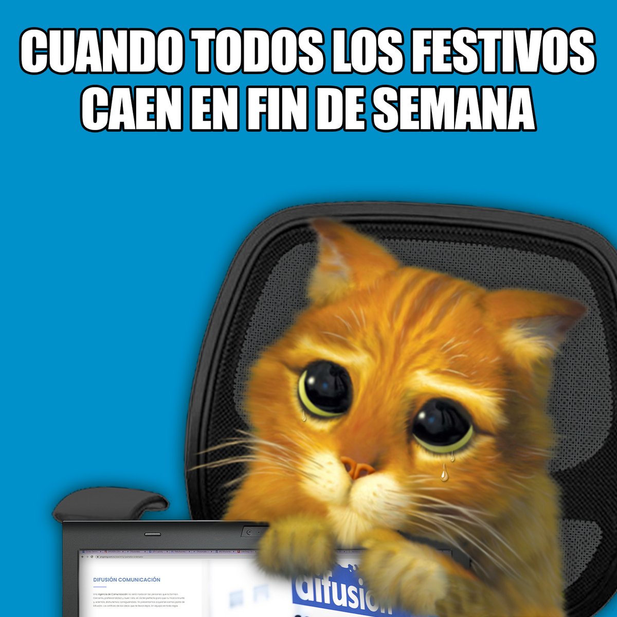 Difusión Comunicación tweet media