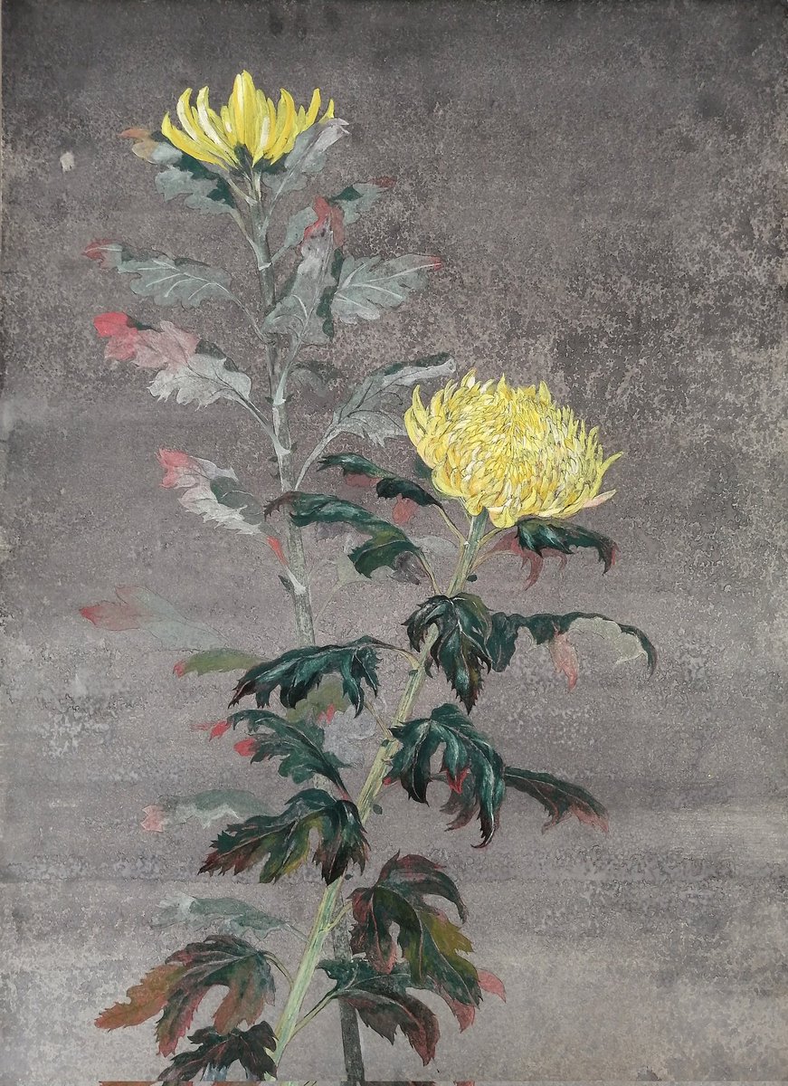 Super_Insomnia_'s tweet photo. 日本画2枚目の菊
少しダークな雰囲気···🖤 https://t.co/o2gbJ0f1aI
