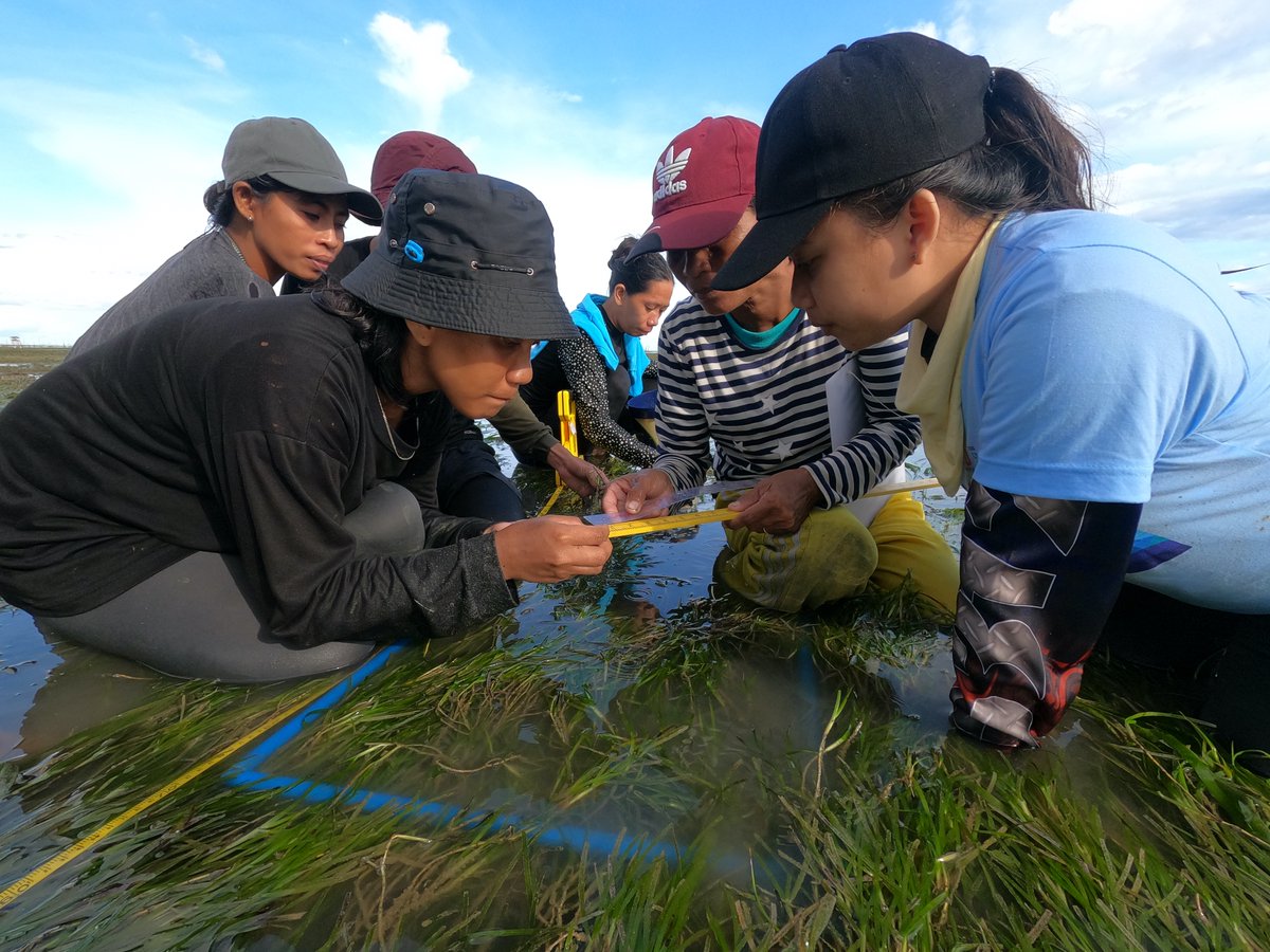 Project Seagrass was born out of seagrass research conducted in the Indo-Pacific, and we continue to work in the region to help support others with seagrass research and conservation 🌊🌱.